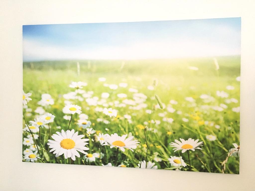Apartment Flowerside Ratisbona Exterior foto