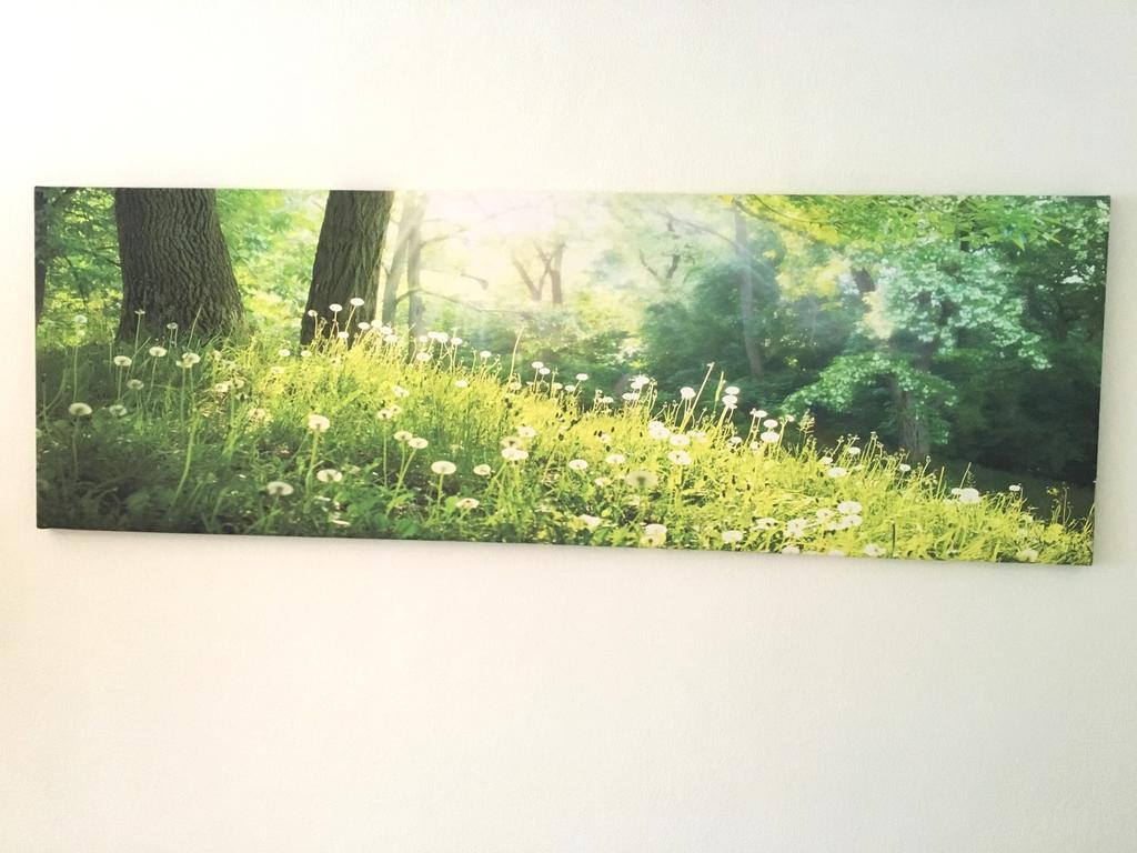 Apartment Flowerside Ratisbona Exterior foto